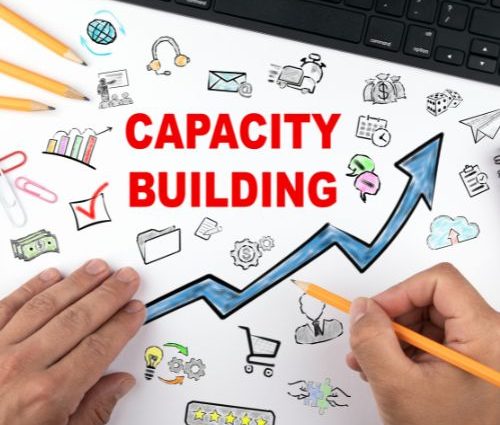 Capacity Building